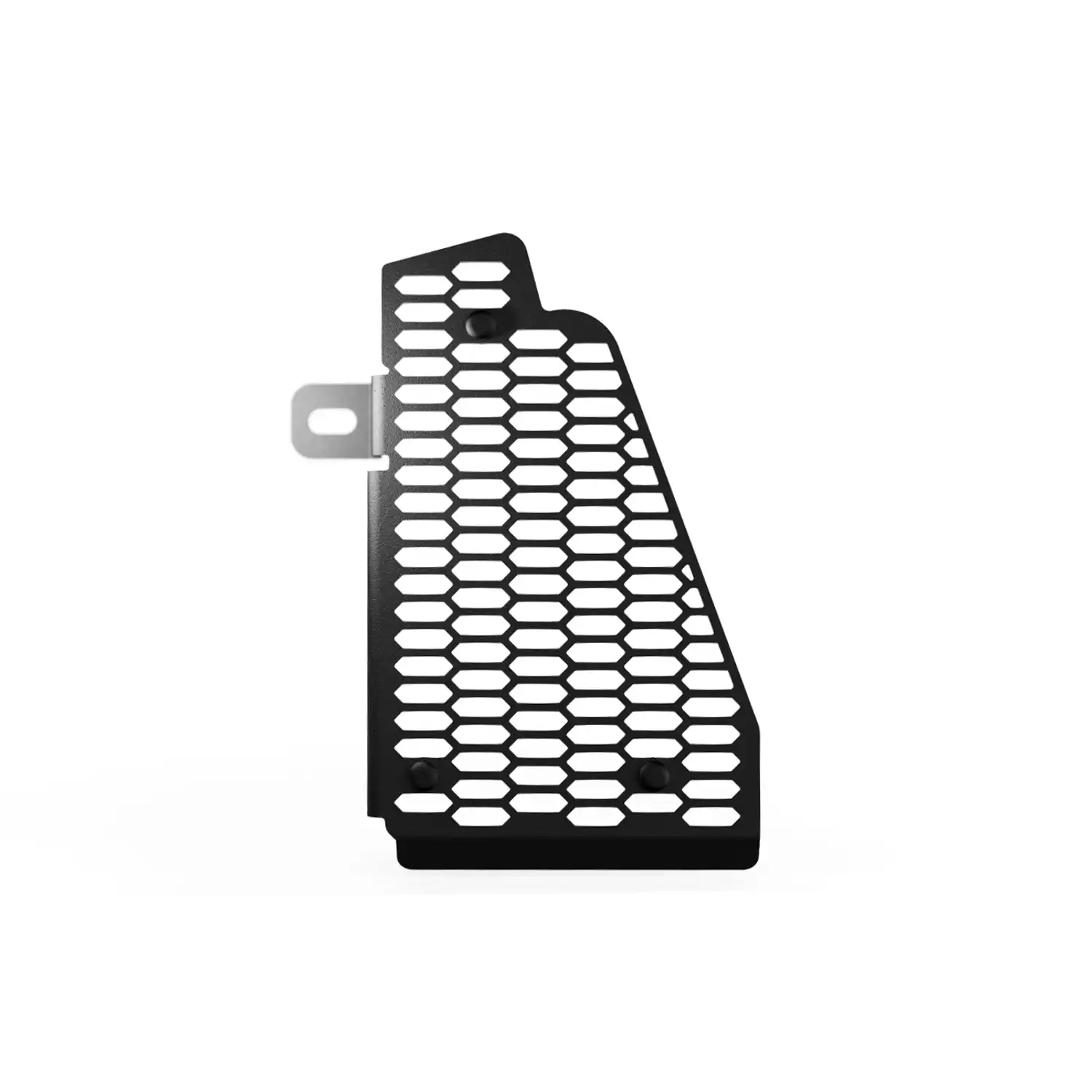 たろう Genuine Kawasaki Ninja ZX-4RR KRT Radiator Screen Guard | 99994